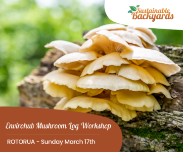 Envirohub Mushroom Log Workshop