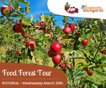Food Forest Tour