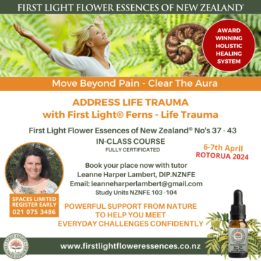 First Light Workshop: How essences address trauma